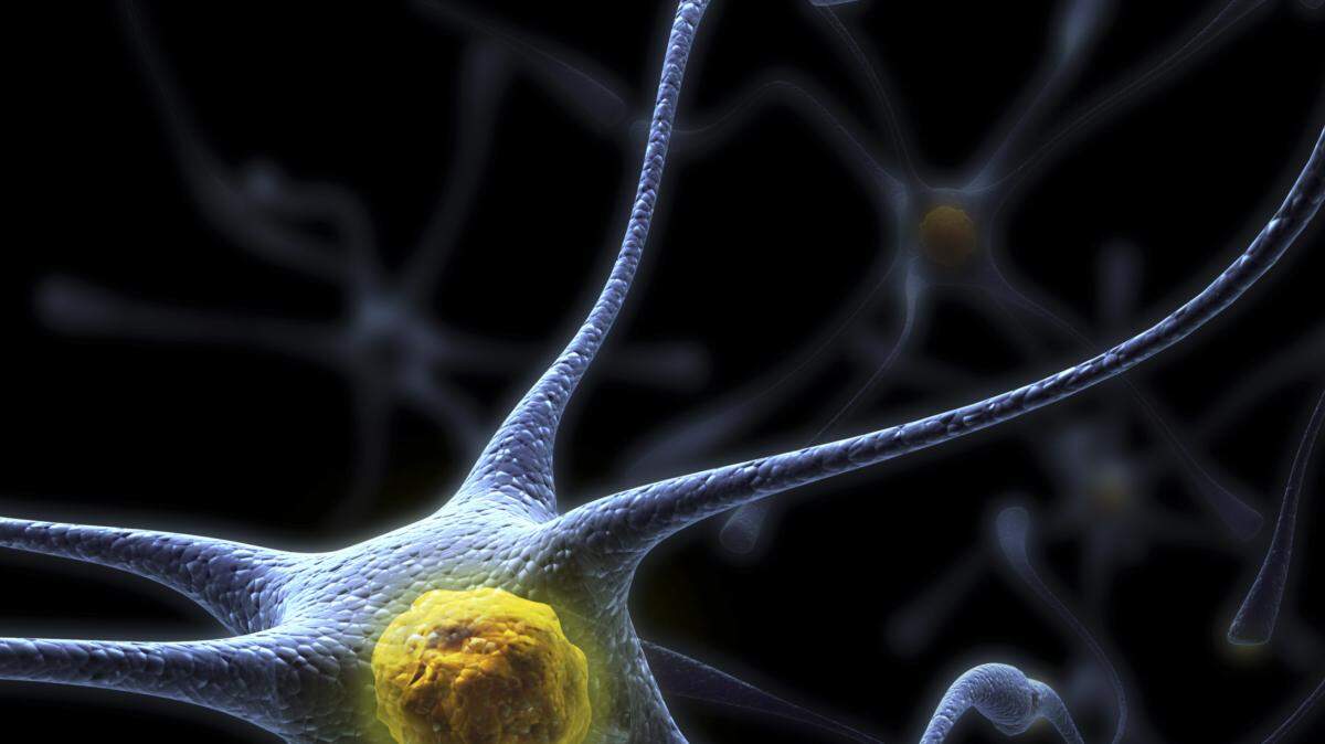 Ilustración de neuronas.