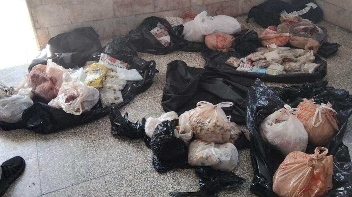 Una pareja de cubanos intentó viajar a EEUU desde el aeropuerto de Holguín con un cargamento de 121 kilogramos de especies marinas protegidas, incluida tortuga carey.