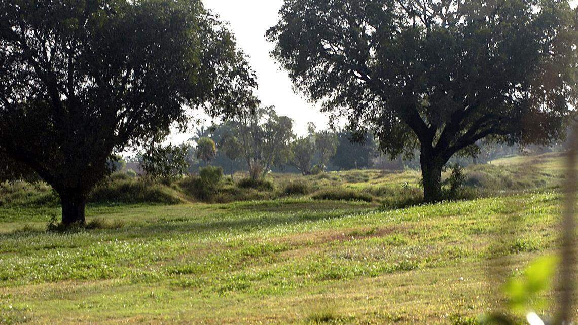 El campo de golf Calusa en 2012, un año después de su cierre.