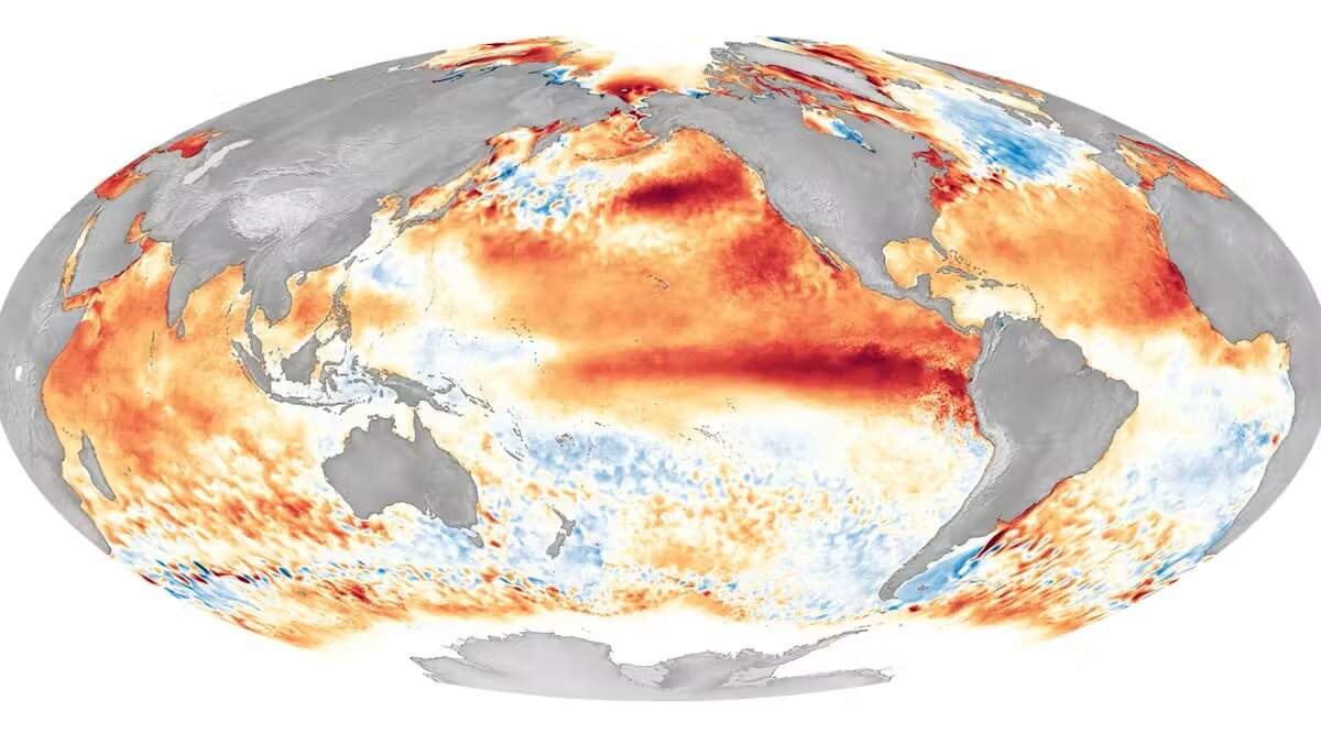 Este mapa muestra las zonas de temperatura superficial del mar que son más altas (rojo) o más bajas (azul) de lo normal. La gran ‘lengua’ roja que se extiende al oeste de Sudamérica forma parte del patrón característico de calentamiento asociado a El Niño. Este mapa concreto de la NOAA, de 2016, muestra uno de los El Niño más fuertes de los que se tiene constancia.