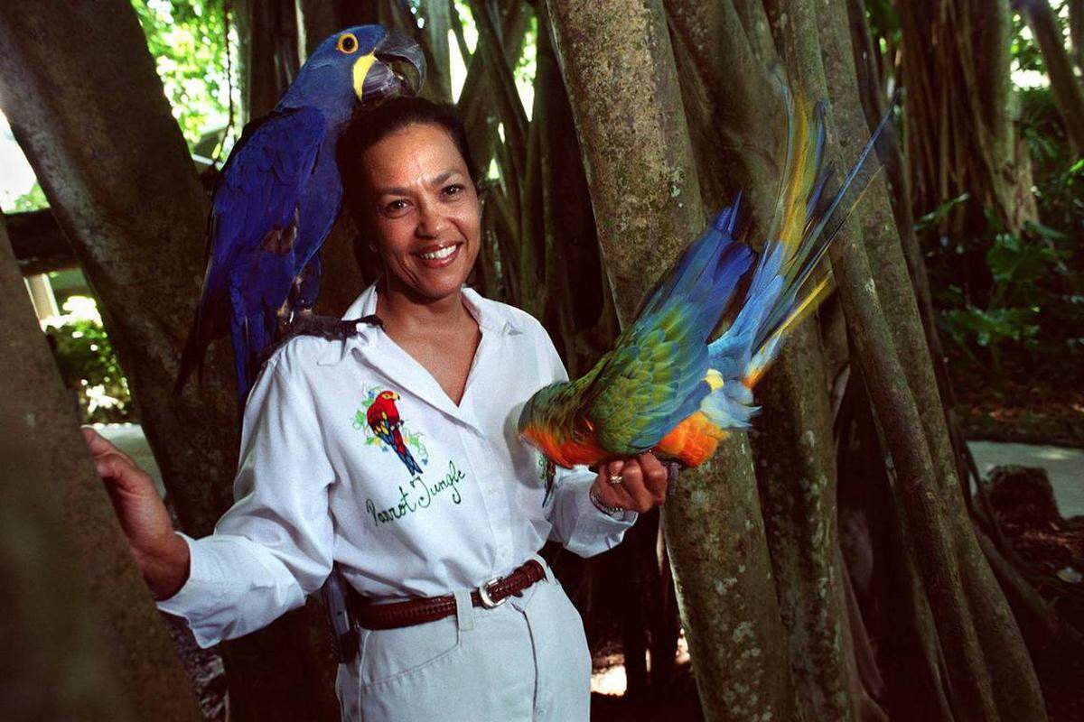 En esta foto de archivo del 9 de septiembre de 2002, Bobbie Ibarra, entonces gerente general de Parrot Jungle and Gardens, sostiene a los pájaros Boomer y Ray bajo un baniano en el parque de Pinecrest.