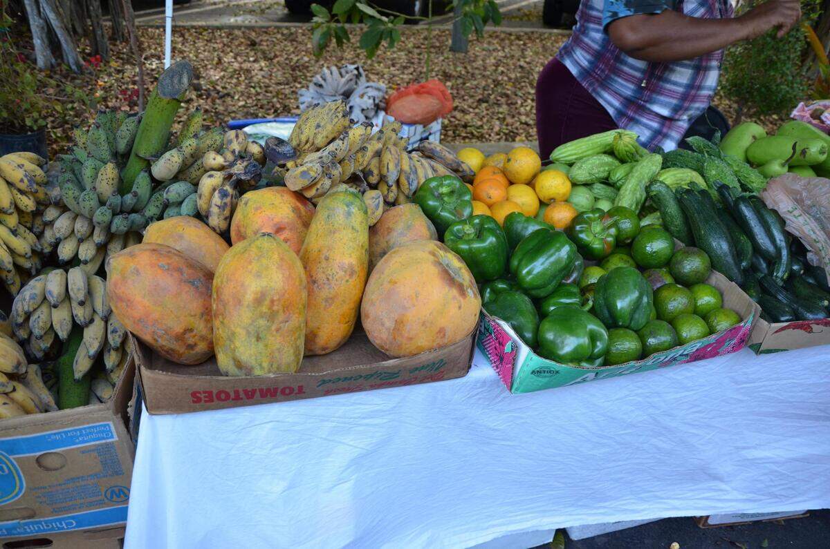 Mercado de agricultores&nbsp;en Pinecrest Garden.