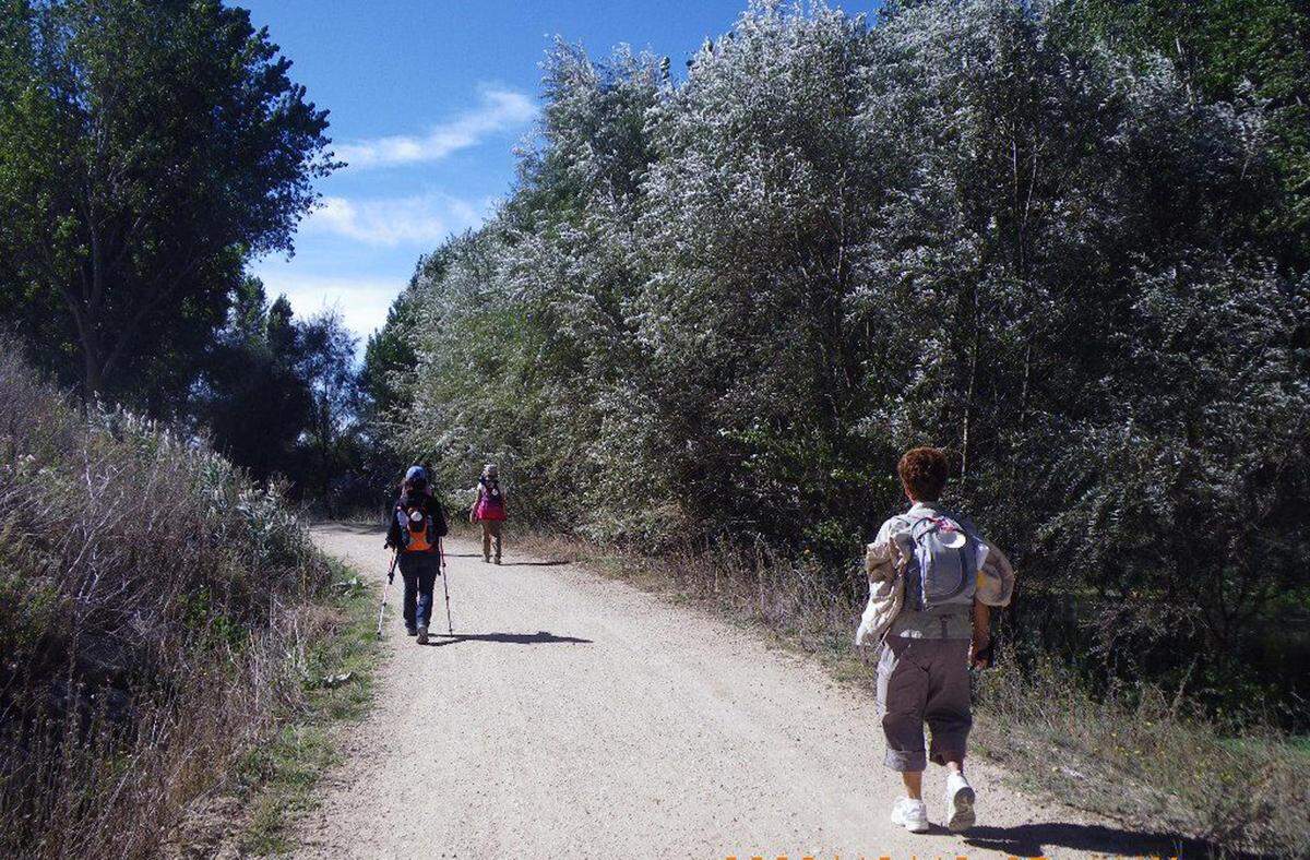 Uno de los destinos religiosos ejemplo de éxito en términos de producto turístico y comercialización es el&nbsp;Camino de Santiago.
