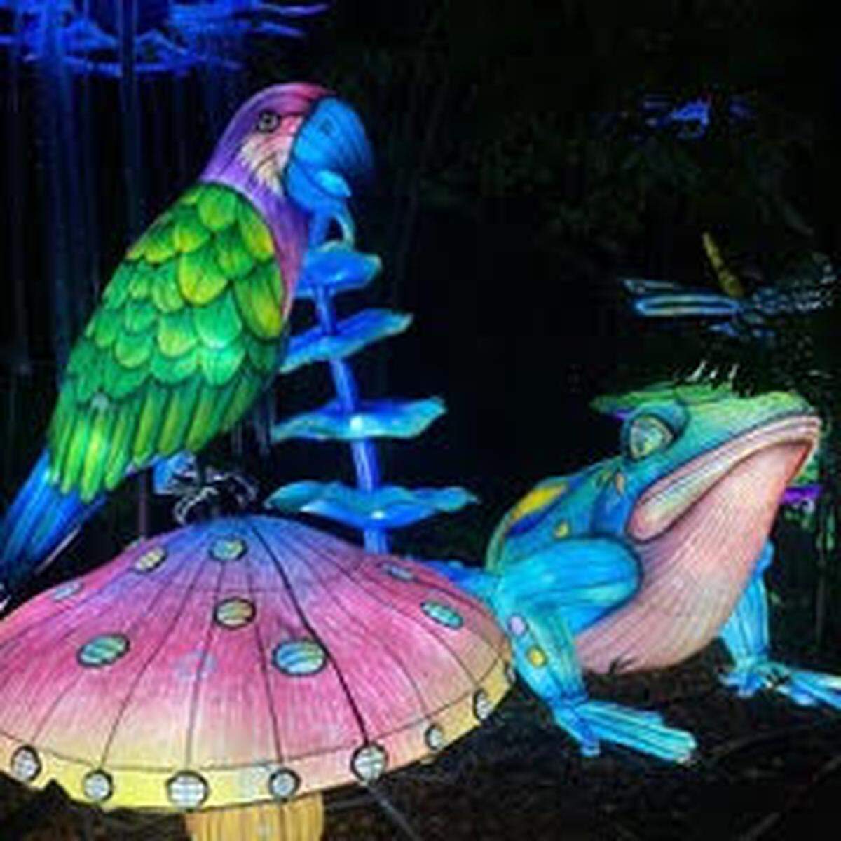 Luminosa, el encantador mundo nocturno de Jungle Island con más de 40 nuevas instalaciones de linternas.