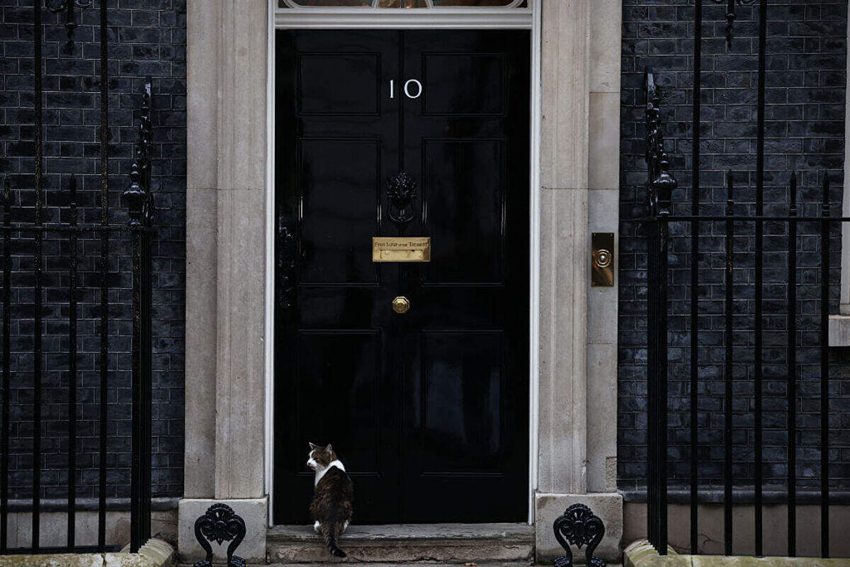 “Larry”, el gato de Downing Street espera en la puerta del número 10 de Downing Street, la residencia oficial del primer ministro británico, actualmente líder del Partido Laborista Keir Starmer, en el centro de Londres el lunes 9 de febrero de 2026.
