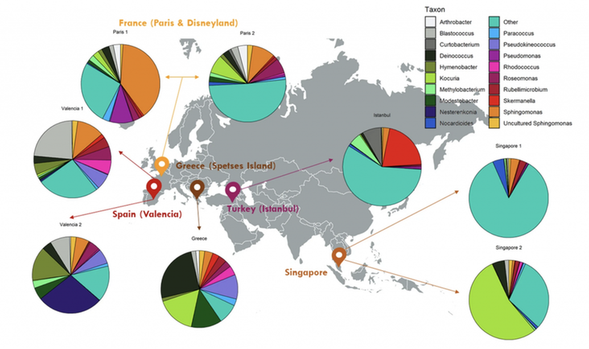 Perfiles taxonómicos de las muestras de chicles recogidos del suelo de cinco países diferentes. Satari et. al.