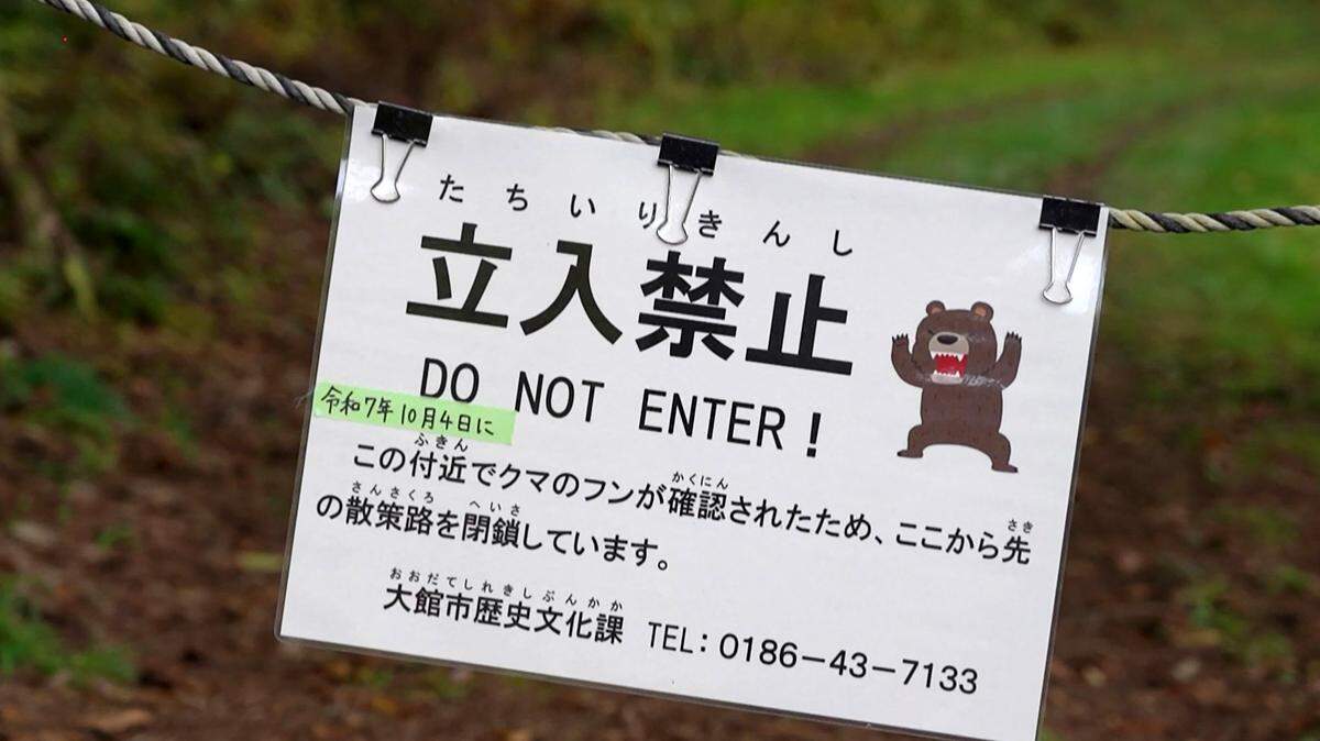 This screen grab taken from AFPTV video footage filmed on October 25, 2025 shows a "Do not enter" safety sign related to bears near a forested area in Akita Prefecture. Since April a record 13 people have been killed by bears across the country, with incidents reported on an almost daily basis of the animals entering homes, roaming near schools and rampaging in supermarkets. The government is scrambling to deal with the surge in maulings, which scientists say is being driven by a fast-growing bear population combined with this year's bad acorn harvest, leaving some mountains "overcrowded" with hungry bears. (Photo by Caroline GARDIN / AFPTV / AFP) / To go with AFP story Japan-bear-environment-climate-demographics, REPORTAGE by Hiroshi Hiyama and Caroline Gardin (Photo by CAROLINE GARDIN/AFPTV/AFP via Getty Images)