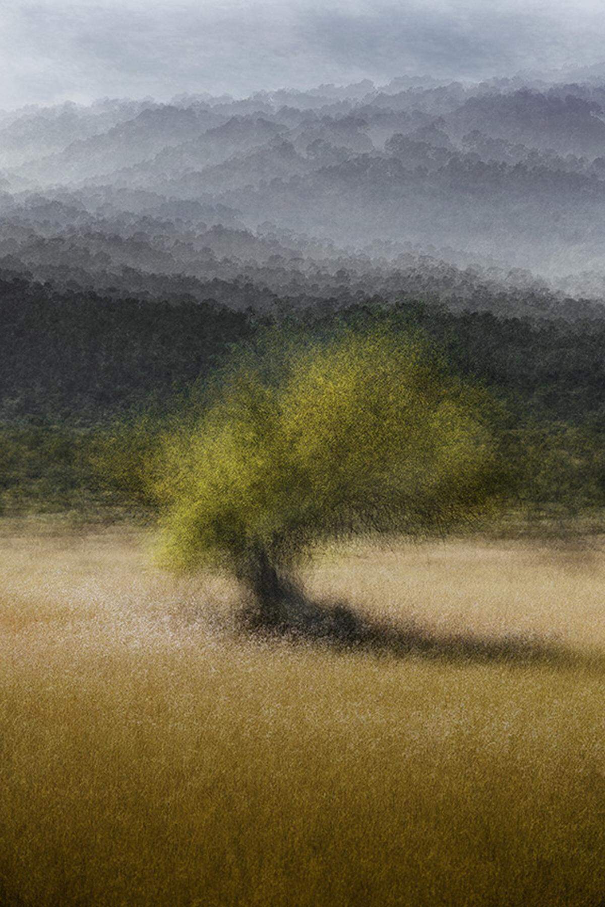 “Es Capdella #3’, 2023, 90 x 60 pulgadas, 7.4 pies de altura, edición de 5.