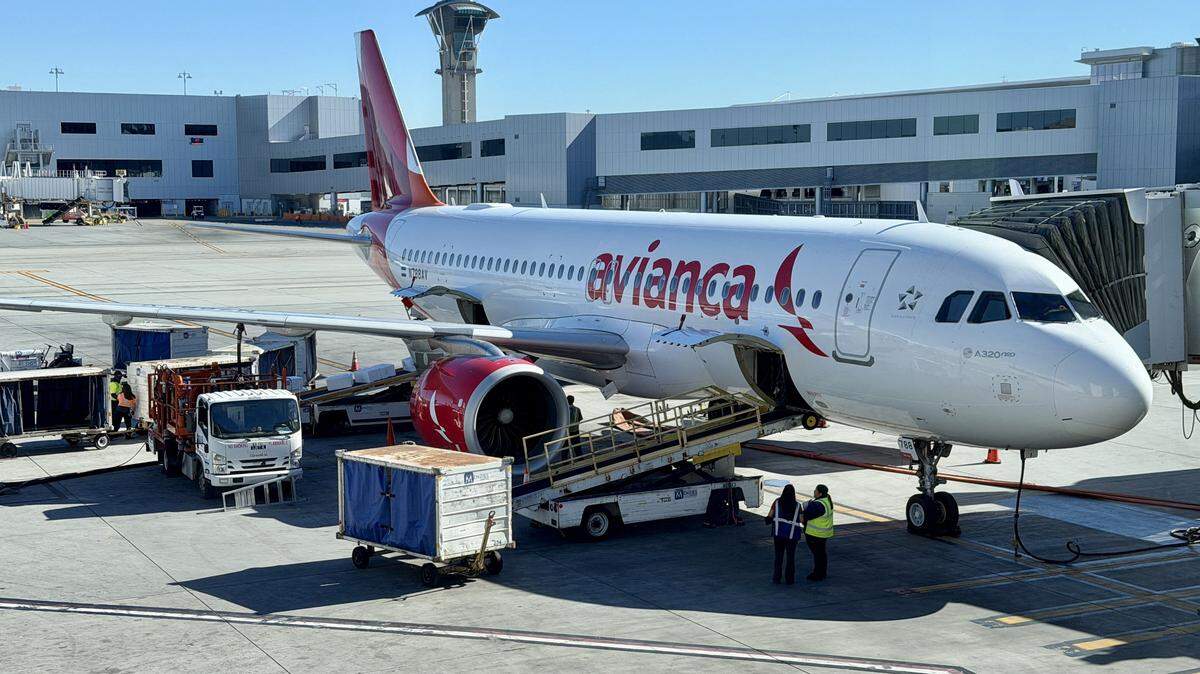 Un Airbus A320 Neo de Avianca es visto en una puerta de embarque en el Aeropuerto Internacional de Los Ángeles (LAX) el 13 de enero de 2026.