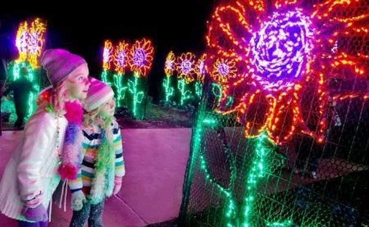 Noche de Luces en Pinecrest Gardens.