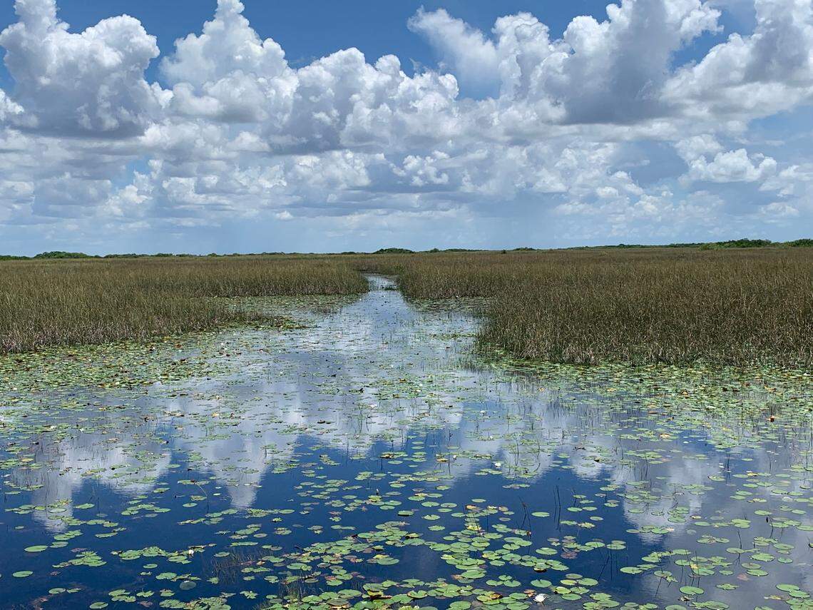 Esta excursión espiritual en hidrodeslizador por Everglades en Miami, patria de los indios americanos de la tribu de los Miccosukee en uno de los humedales más grandes del mundo.