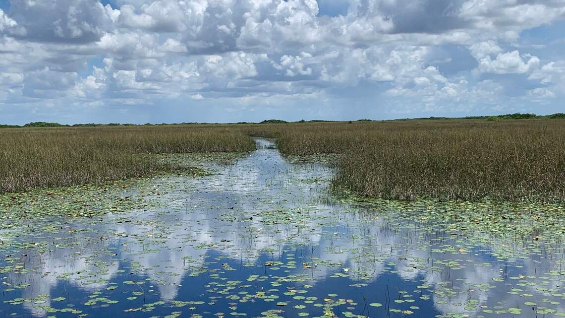 ¿Conoces este secreto escondido en los Everglades? Descúbrelo con los indios nativos de Miami