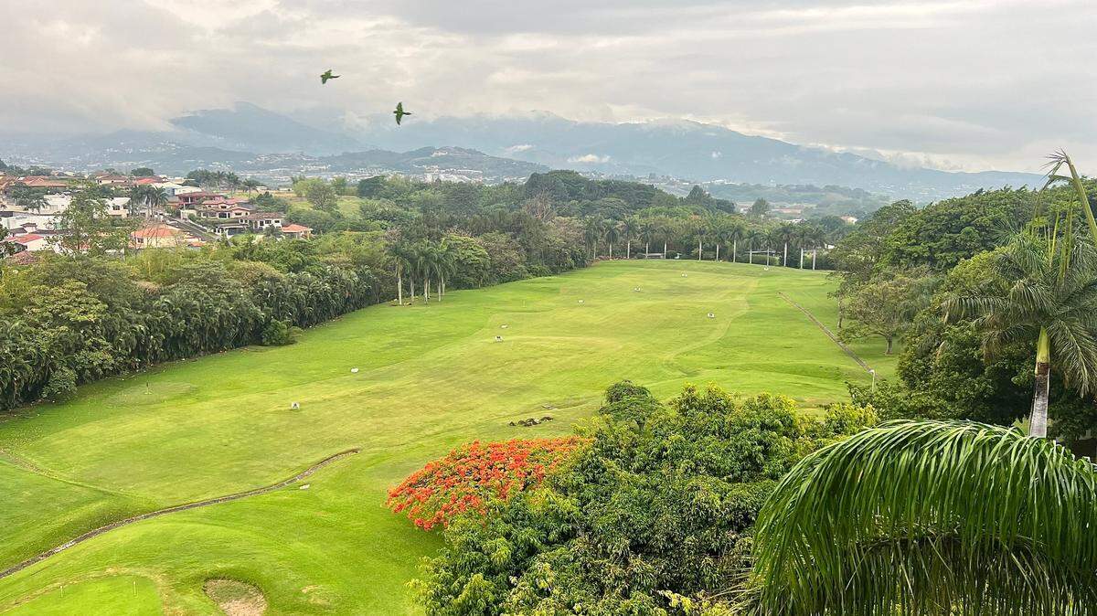 Aves de colores exóticos sobrevuelan en el Hotel Marriott Hacienda Belén en Costa Rica.