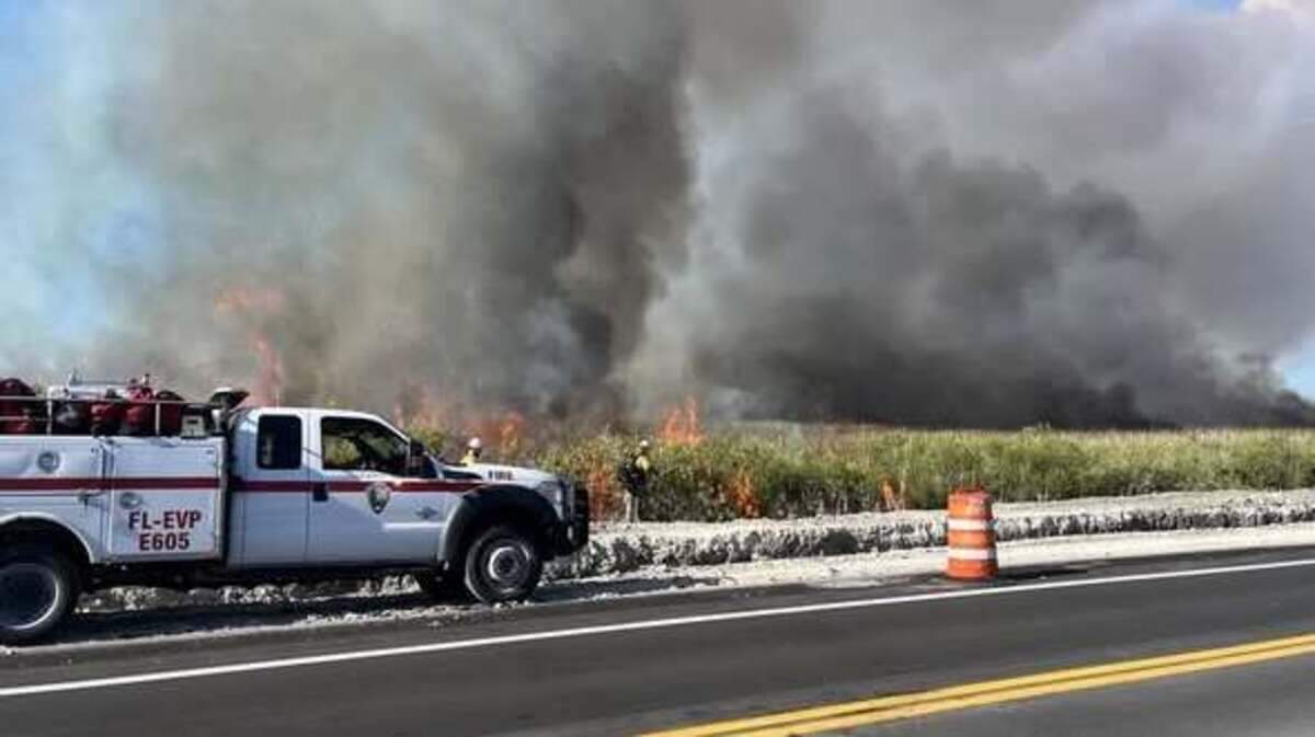 Un incendio forestal ha consumido 5,000 acres en los Everglades.