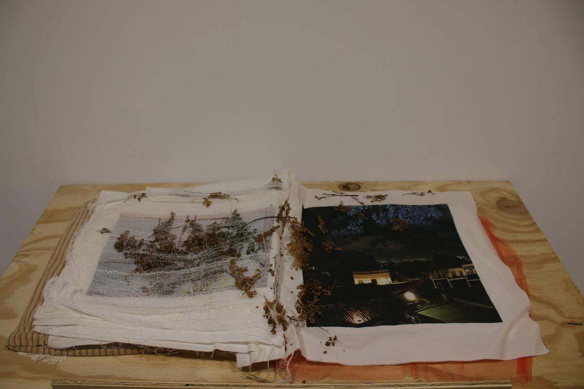 ‘Steps Behind’, 2022, de Juliana Torres. Medio mixto con fotos del archivo de la artista impreso en tela, tapetes, tejidos, y elementos orgánicos, 17 × 14 pulgadas.