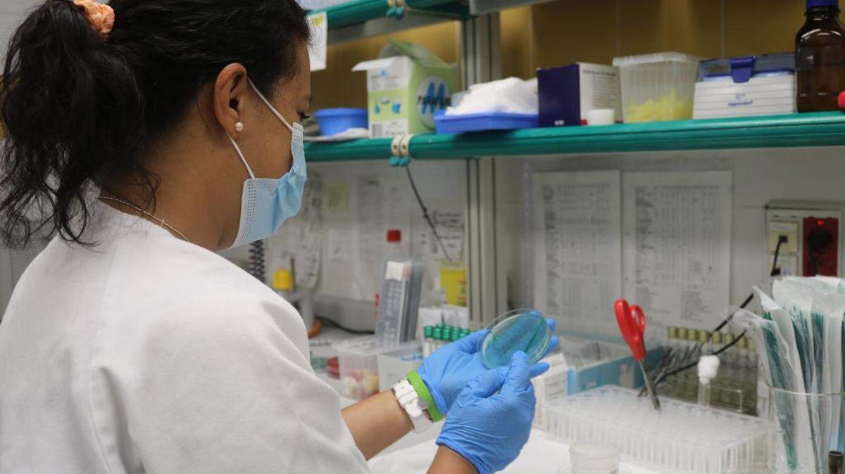 El primer caso de virus Oropouche en la región de Canarias, en España, fue confirmado el 13 de agosto en un viajero proveniente de Cuba.