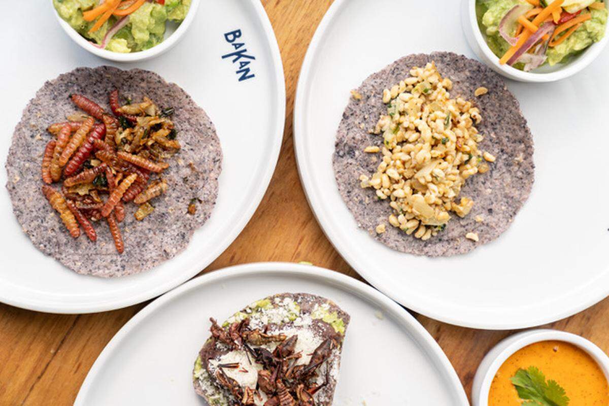 Para celebrar este mes con auténtica comida mexicana, no dejes de visitar Koko, en Coconut Grove.