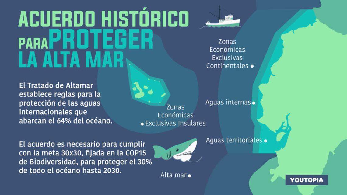 Ismael Cala: El océano como espejo de nuestra abundancia colectiva | Opinión