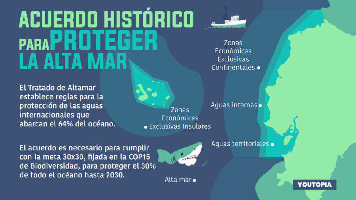 Entra en vigor el tratado de la ONU para proteger el 30% de las aguas internacionales.