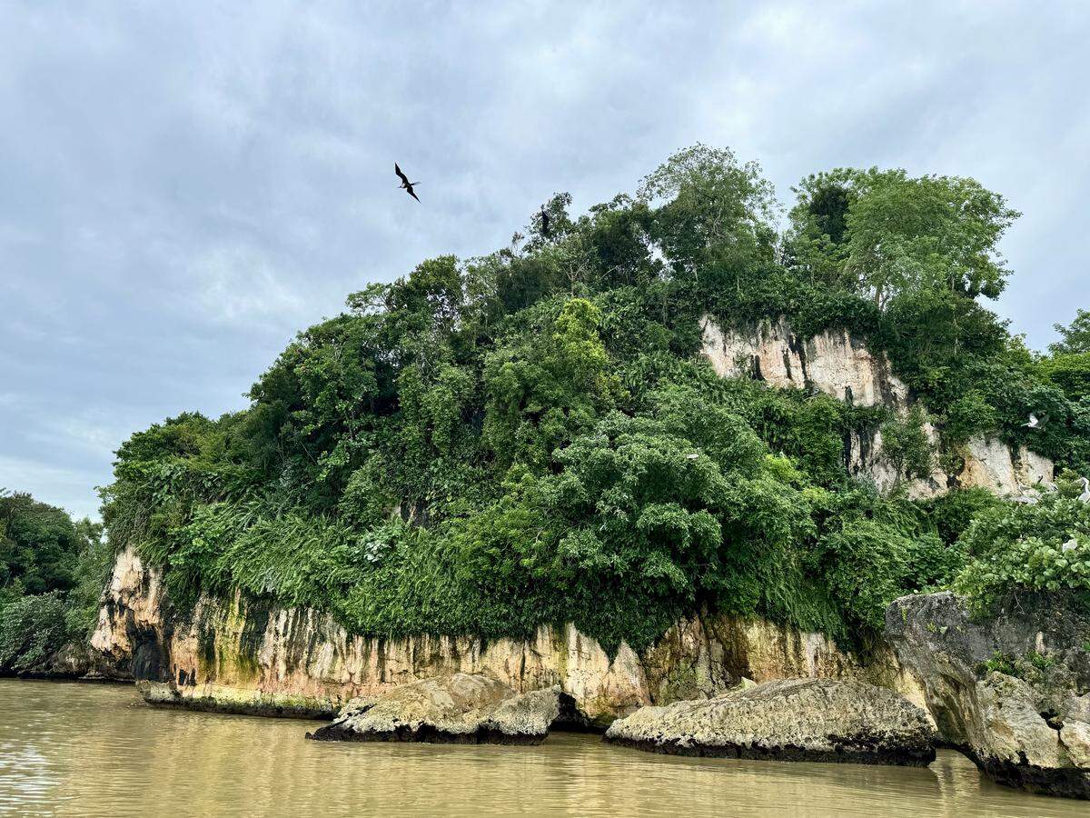 Montículos en Los Haitises.