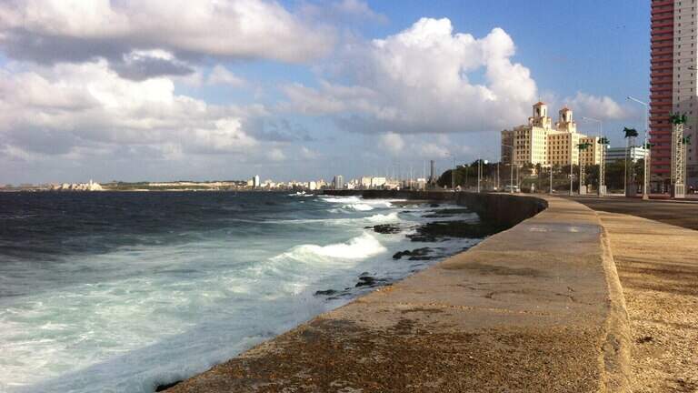 Alerta en Cuba: detectan por primera vez en sus aguas una especie de microalga tóxica