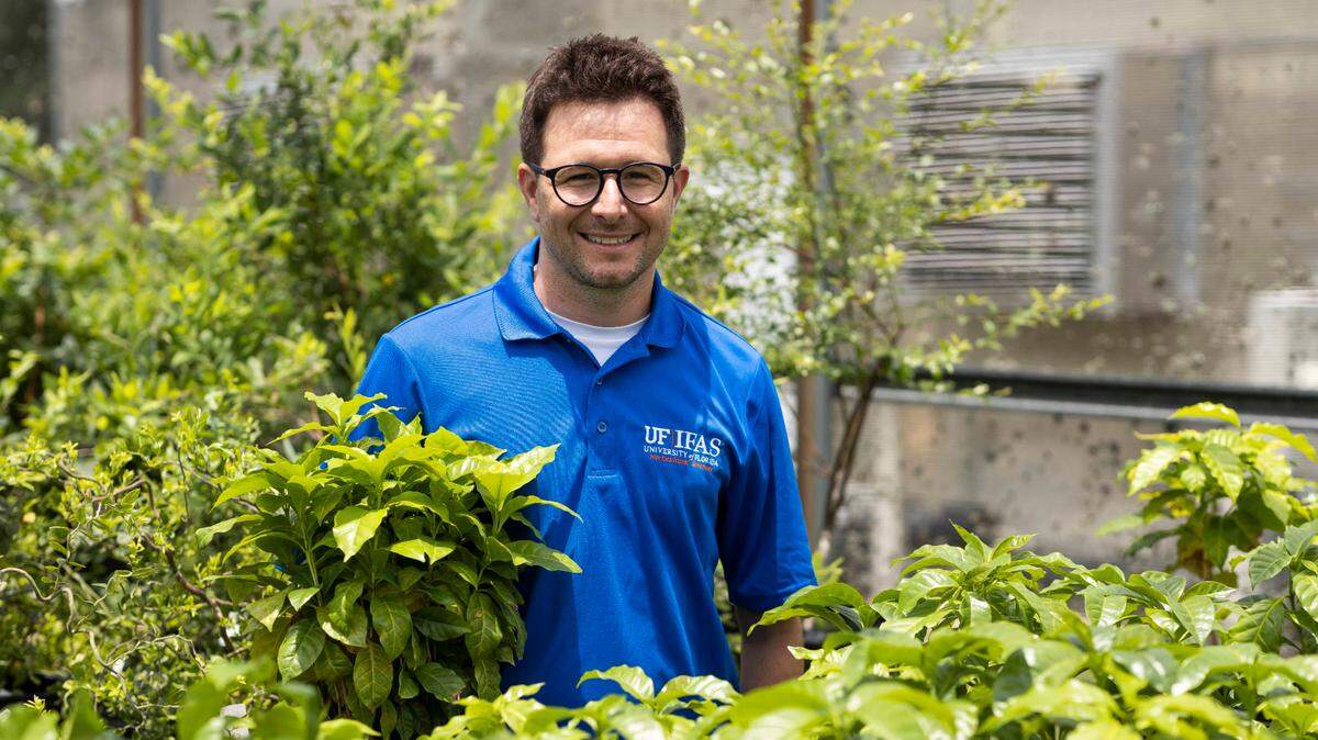 Felipe Ferrão científico en el Departamento de Ciencias Hortícolas de UF/IFAS, dirige varios proyectos relacionados con el café en Florida.