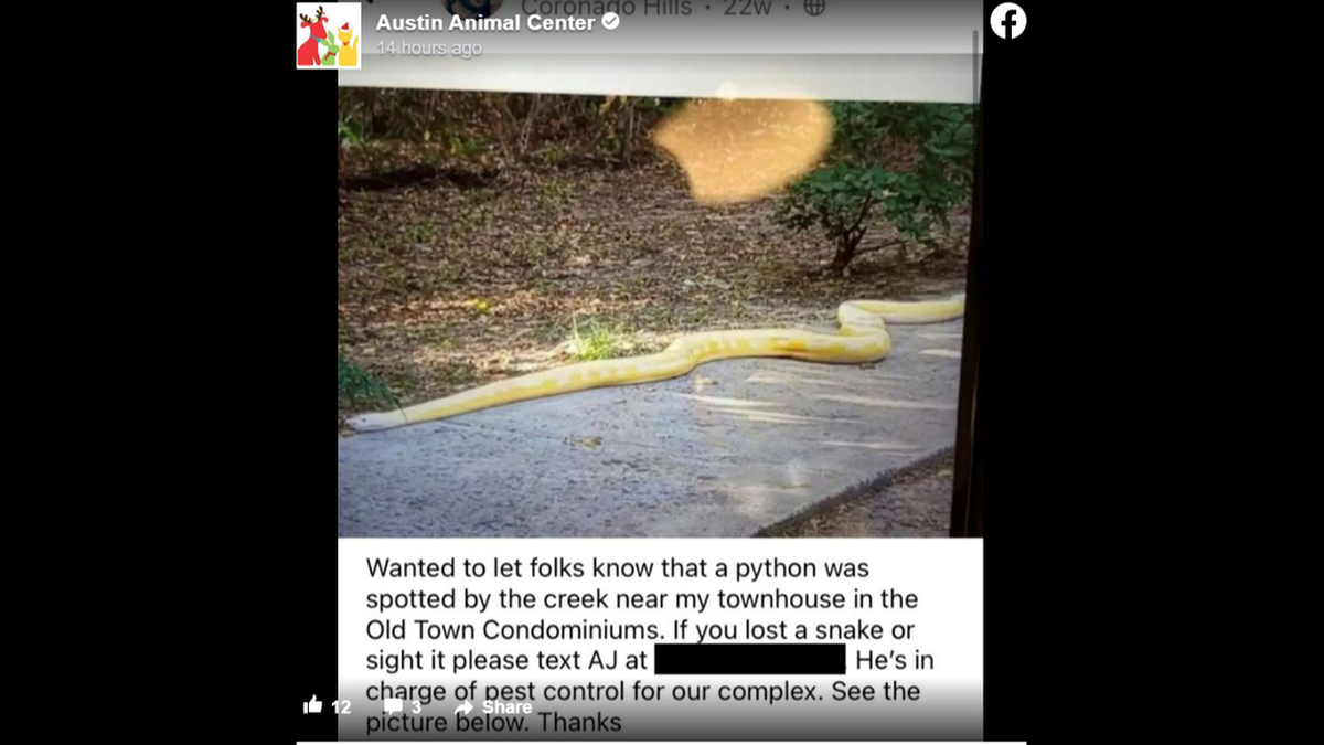 La serpiente había sido vista de vez en cuando en Coronado Hills desde el verano, dijeron los residentes. Captura de pantalla de la publicación de Facebook del Austin Animal Center.