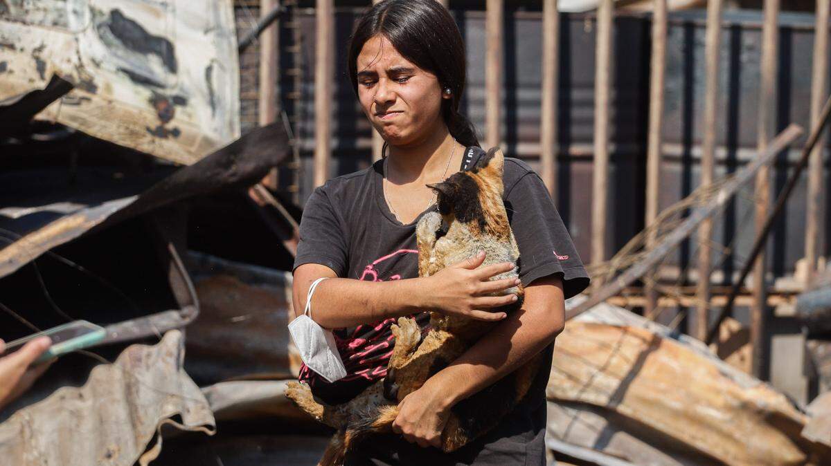 Una mujer carga a un gato herido por las llamas del gran incendio que afecta el sector de Viña del Mar, Chile, el sábado 3 de febrero de 2024.