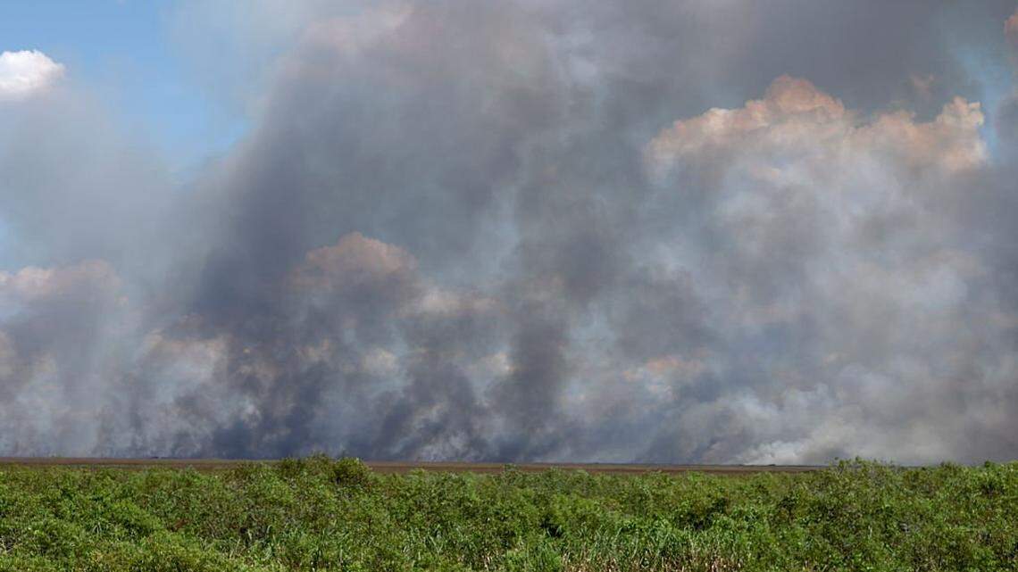En una vista aérea, el humo se eleva desde un incendio de vegetación en los Everglades el 20 de agosto. de 2025
