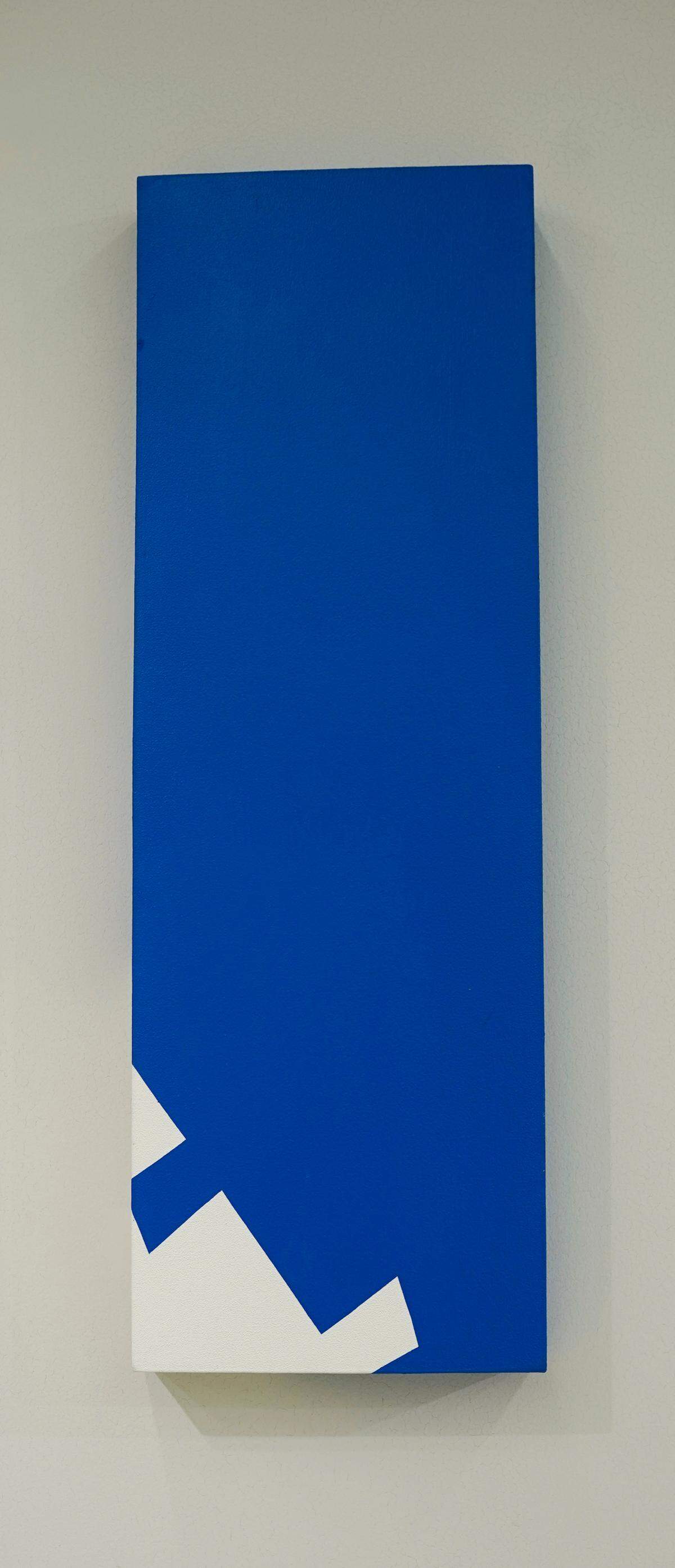 Sin título, 2021, acrílico sobre lienzo, 12 x 30 pulgadas.
