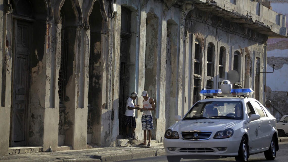 Detienen a cubano acusado de cultivar más de 160 plantas de marihuana en una vivienda