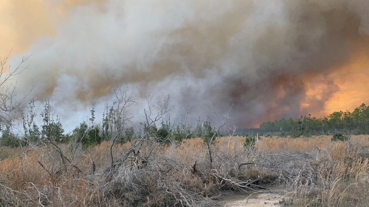 Tres incendios forestales devoraron más de 34,000 acres en el noroeste de la Florida en 2022