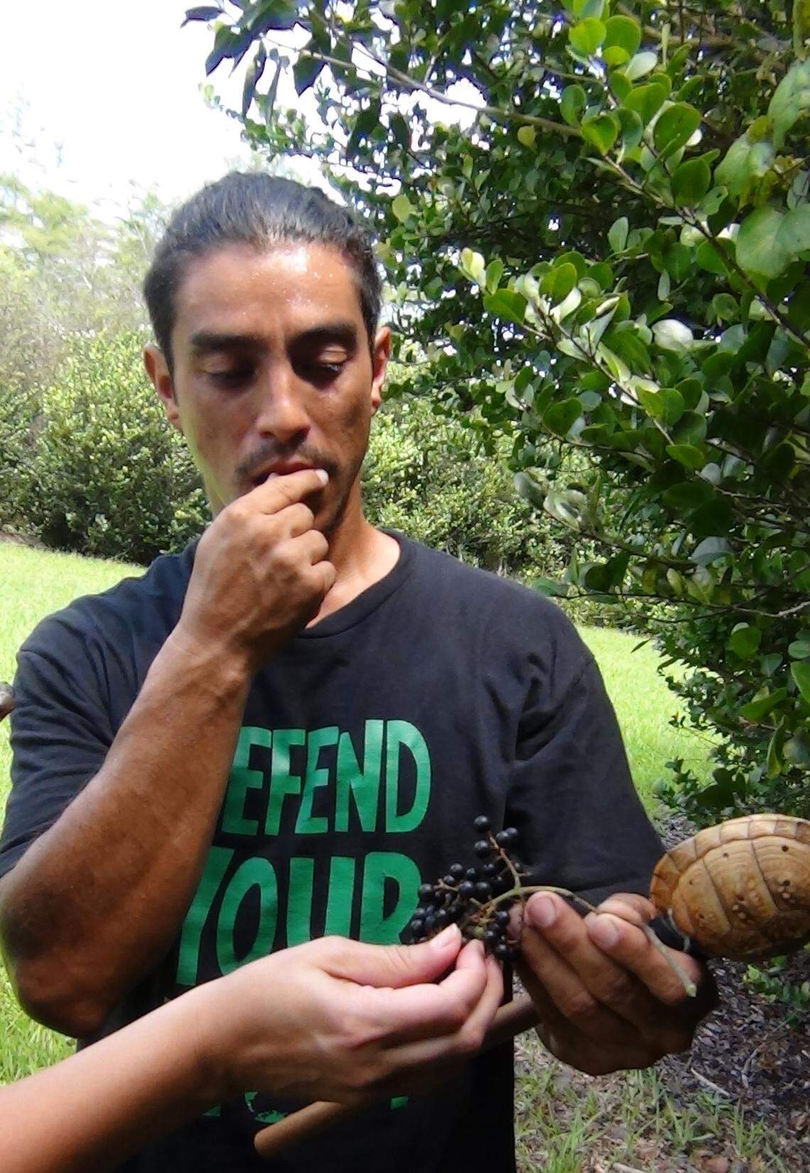Entre otras plantas y frutas, en Otter Island destacan frutas silvestres como las dulces uvas muscainas silvestres y las sabrosas ciruelas de coco.