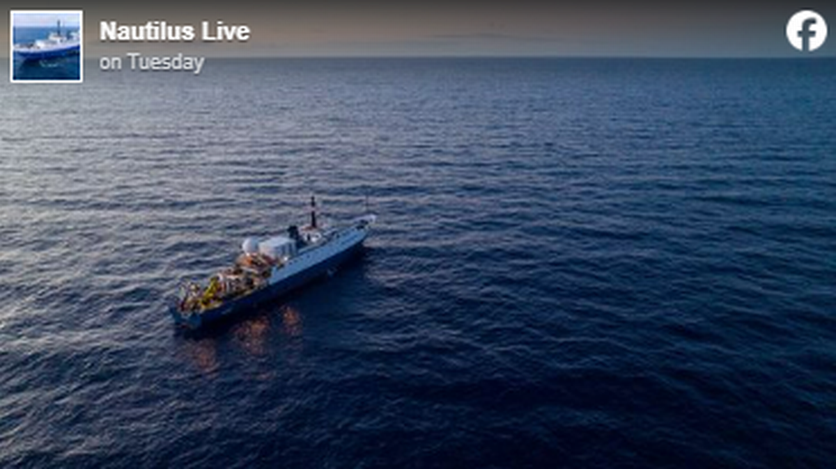 La tripulación del barco Explorer Vessel Nautilus encontró un enorme diente de megalodón cerca del Atolón Johnston.