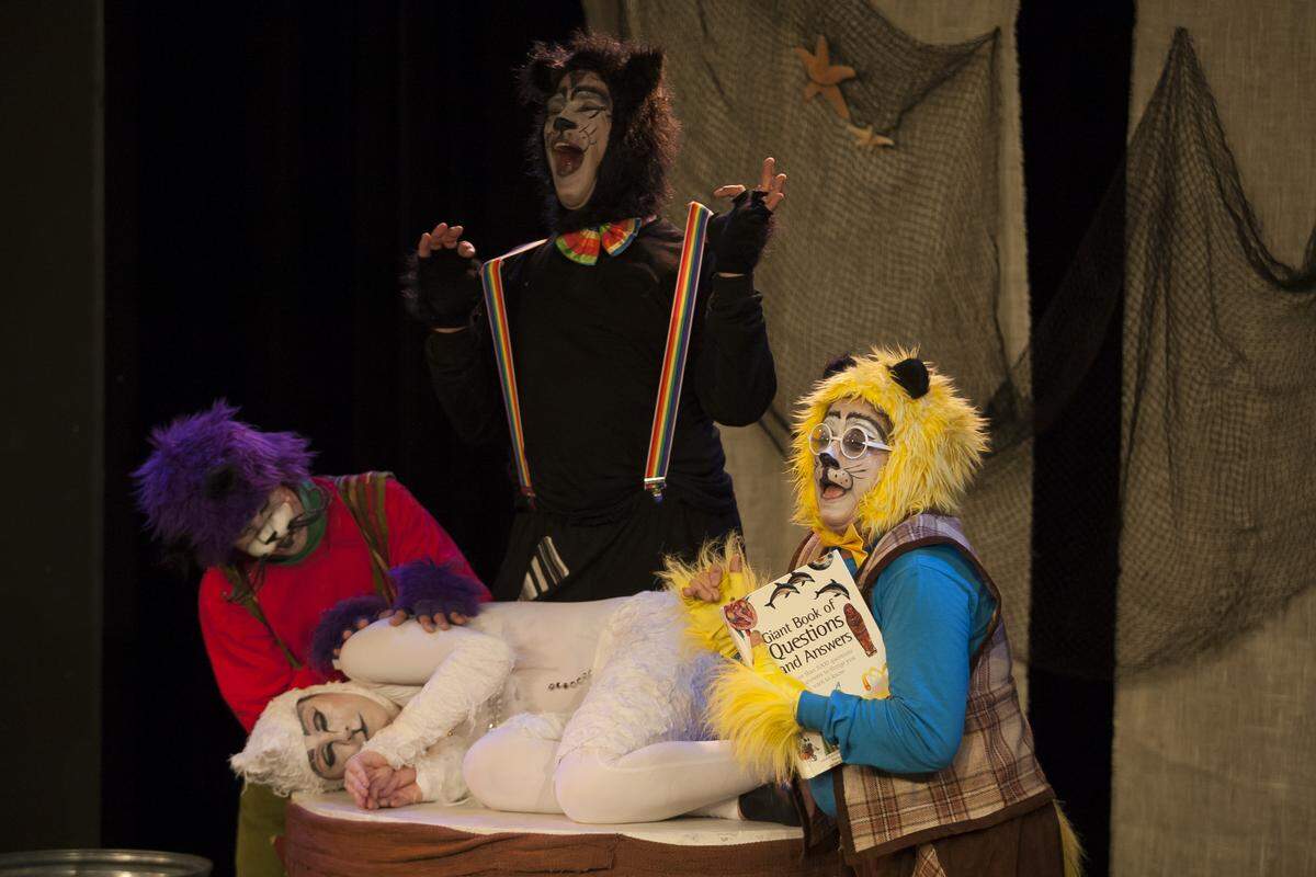 Teatro Doble presentará "El gato y la gaviota". Elenco: Danly Arango, Cristina Ferrari, Bianka González y Boris Roa.