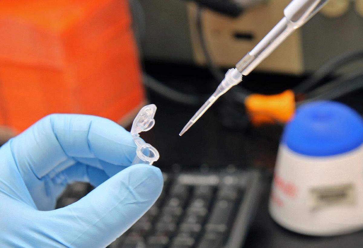 Una técnica del Departamento de Genética Molecular del Nicklaus Children's Hospital prueba la concentración de ADN en una muestra.