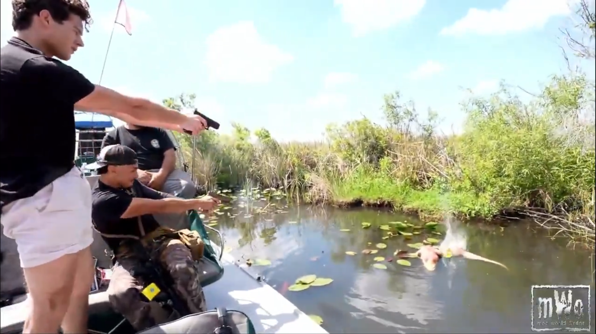 Braden Peters, más conocido como Clavicular, y Andrew Mora, conocido como el Tarzán Cubano, disparan a un caimán en los Everglades. La Conservación de Pesca y Vida Silvestre (FWC) y funcionarios estatales están investigando posibles infracciones contra la vida silvestre.
