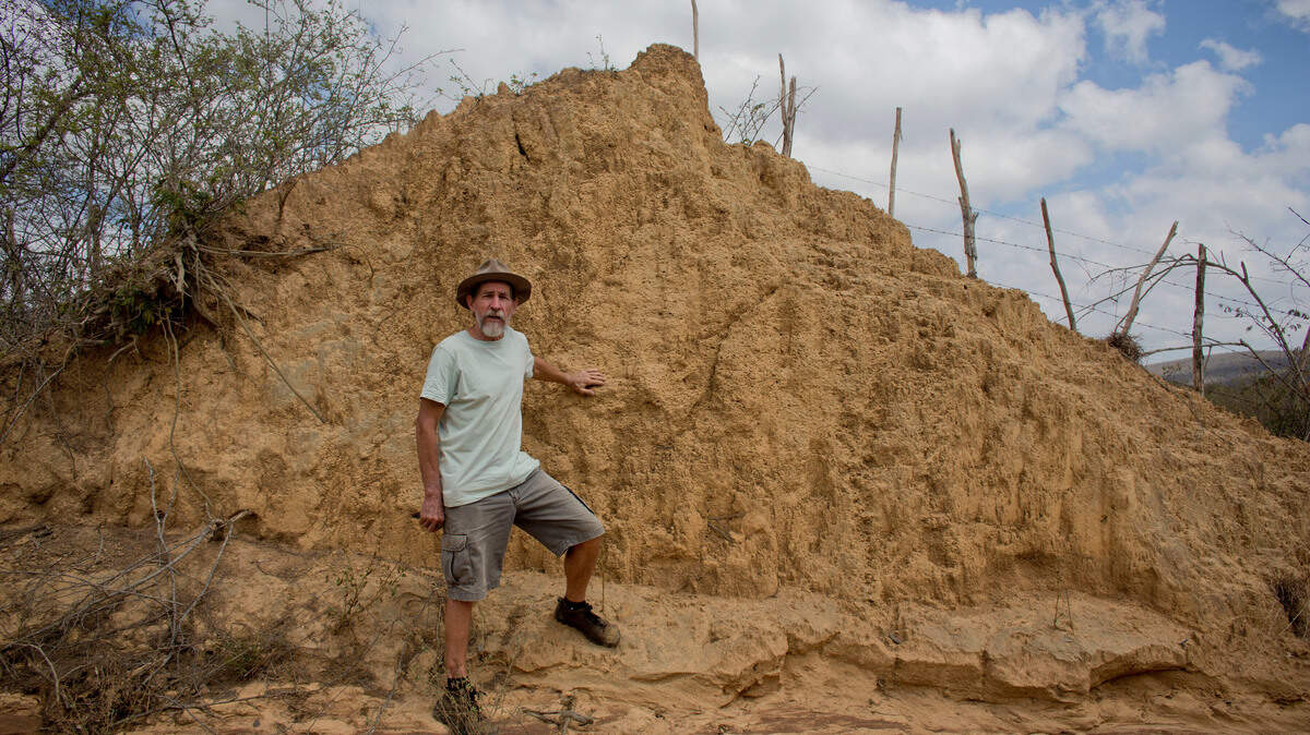 Roy Funch, un botánico estadounidense que lleva décadas viviendo y trabajando en el noreste de Brasil, observó durante mucho tiempo los enormes montículos de tierra en la distancia con curiosidad.