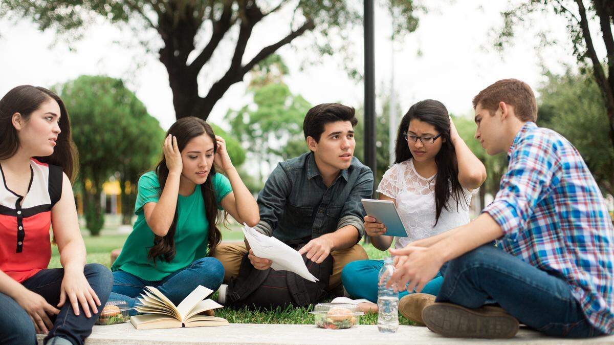 A small group of students studies outdoors.