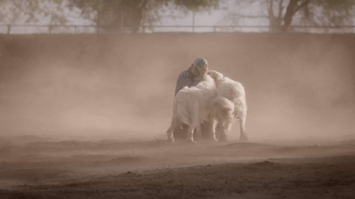 ‘The Biggest Little Farm’ (2018) documental del director John Chester en Coral Gables Art Cinema.