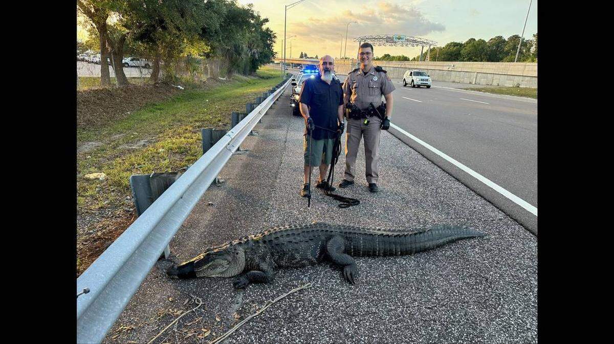 La Patrulla de Caminos de la Florida rescata a veces algo más que a conductores en problemas.