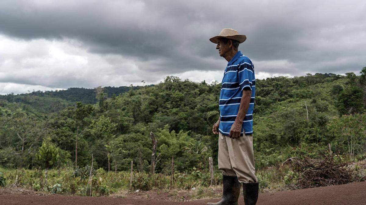 “Tropical Paradise” es un documental sobre un atentado en Panamá atribuido al grupo terrorista Hezbolá, que hizo estallar un avión con 29 pasajeros, 12 de los cuales eran empresarios de origen judío.