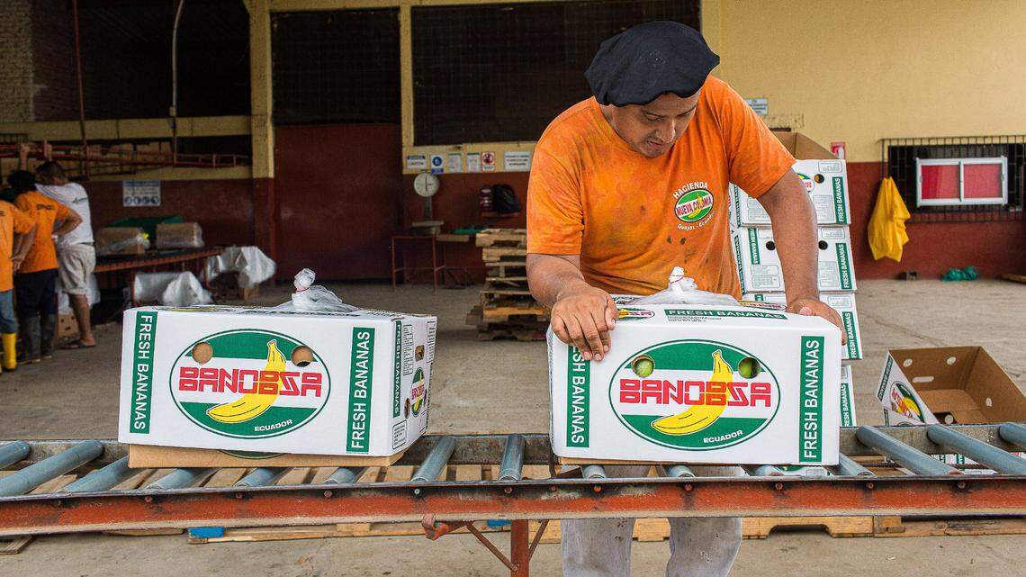 Foto de archivo. Las autoridades panameñas decomisaron cinco toneladas de cocaína, una de las incautaciones más voluminosas del país, dentro un buque con plátanos procedentes de Ecuador y que tenían como destino España.