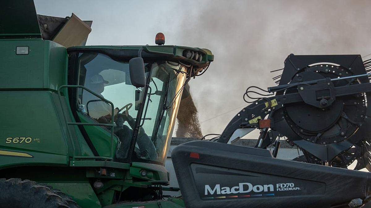 MARION, KENTUCKY - OCTOBER 14: Farmer David Adams unloads freshly cut soybeans into a truck for transport to the shipping port. on October 14, 2025 in Marion, Kentucky. U.S. soybean farmers are being negatively impacted by the Trump administration's ongoing tariff dispute with China.(Photo by Jan Sonnenmair/Getty Images)