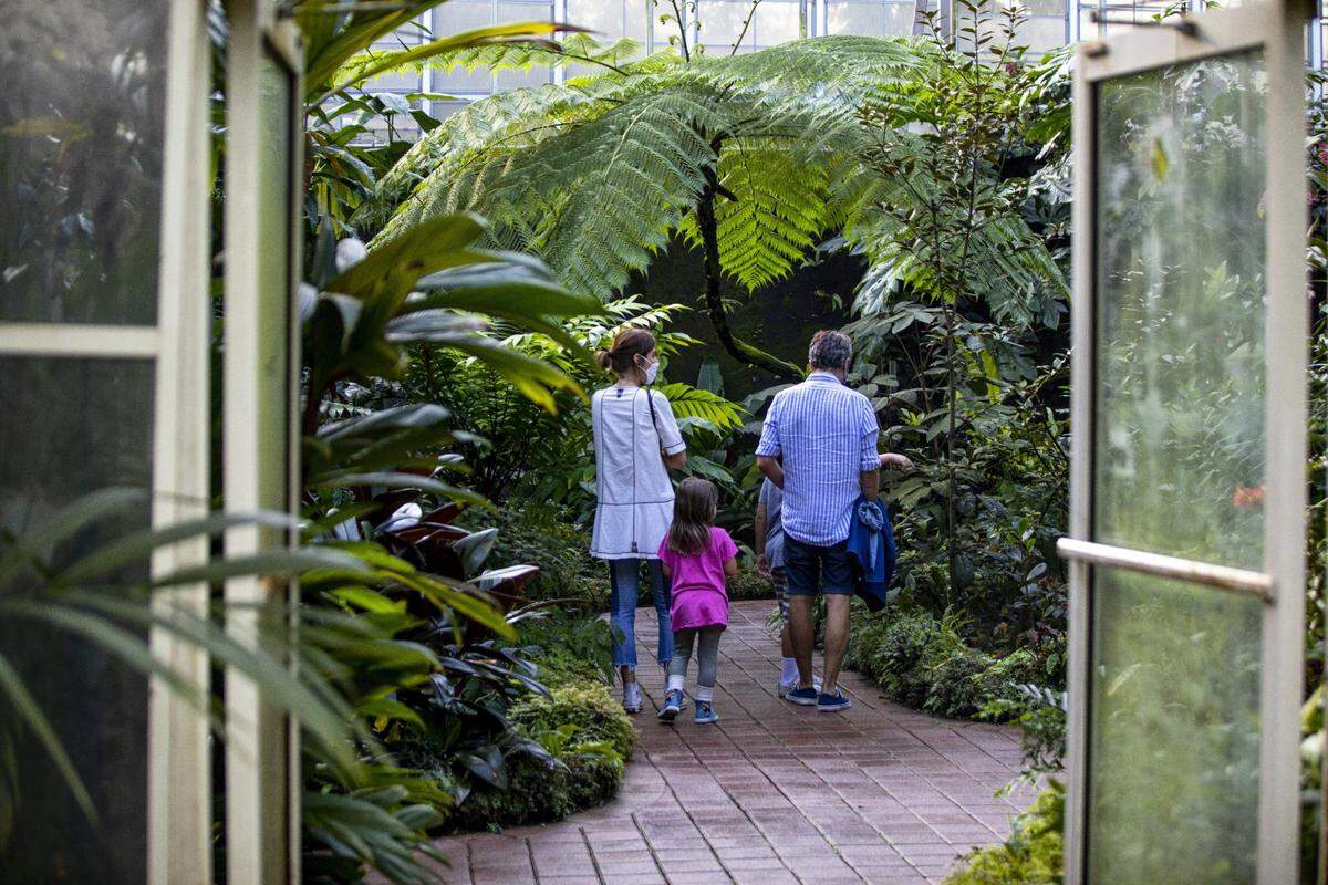 La programación mensual de Fairchild Garden ofrece actividades para niños, adultos y hasta las mascotas.