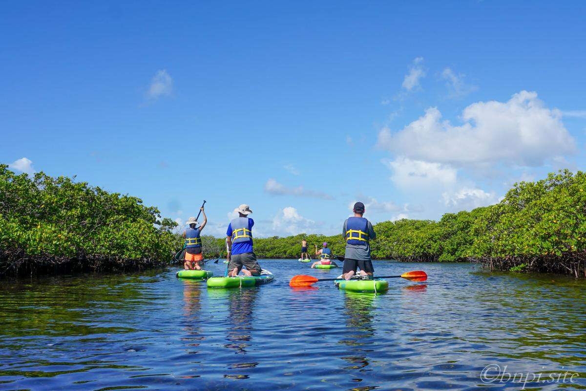 Actividades en kayak como parte del mes del Parque y la Recreación.