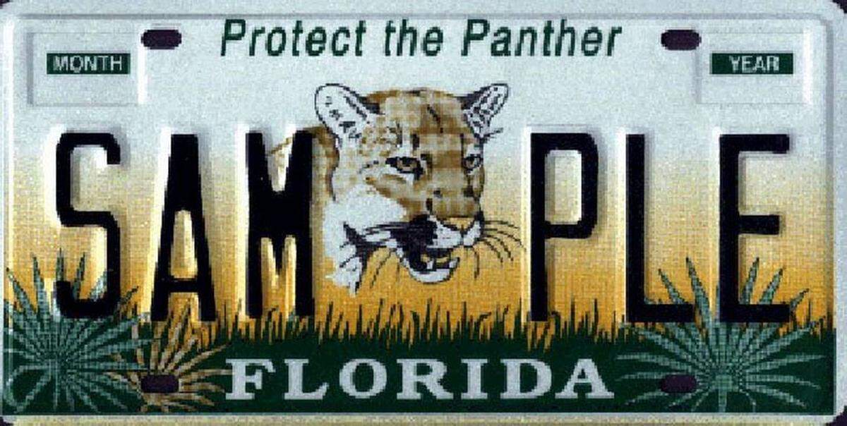 La registración de un auto en la Florida expira el día del cumpleaños del dueño del vehículo.