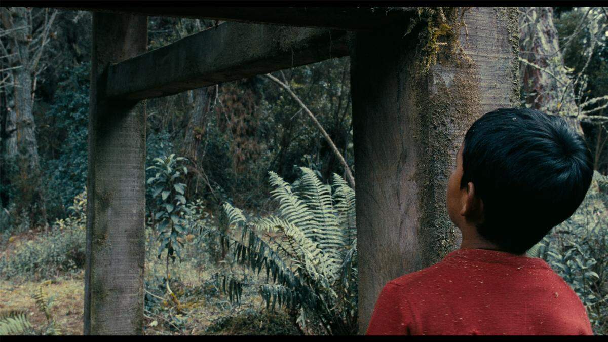 En Coral Gables Art Cinema se realiza “Colombia país de ilusiones”, evento que proyecta una serie de cortometrajes provenientes de esa nación. Entre los filmes se destacan ‘El tamaño de las cosas’ (2019).