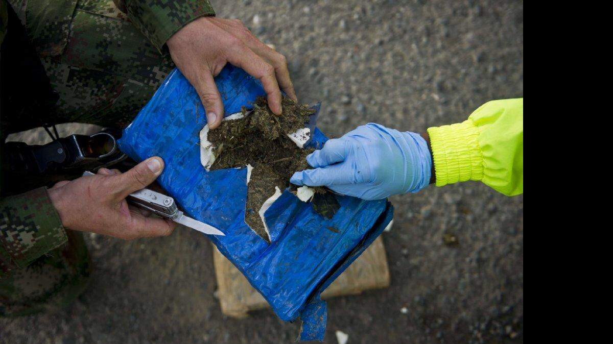 Un soldado colombiano ayuda a inspeccionar un paquete de marihuana en Cali, Colombia, el 11 de abril de 2014, después de que el Ejército de Colombia confiscó 1,2 toneladas de marihuana en una zona rural del municipio de Santander de Quilichao, departamento del Cauca.
