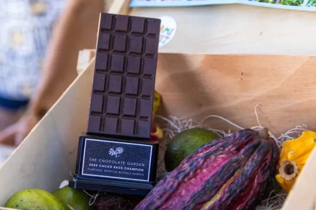 Festival de chocolate en Old Cutler Road.
